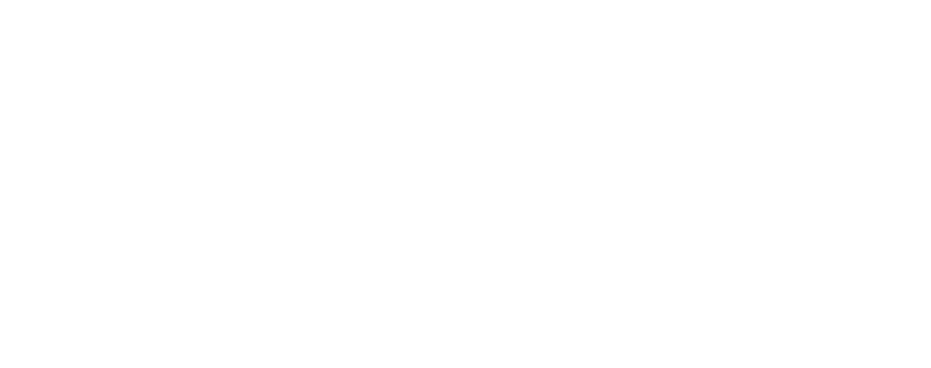 White Logo der Physiotherapiepraxis auf Mallorca